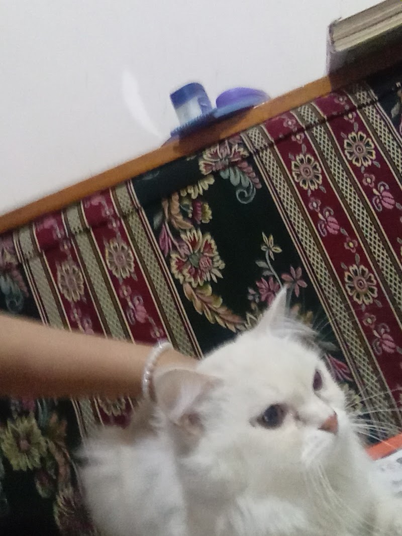 Mr. Pets EGY - صورة 2