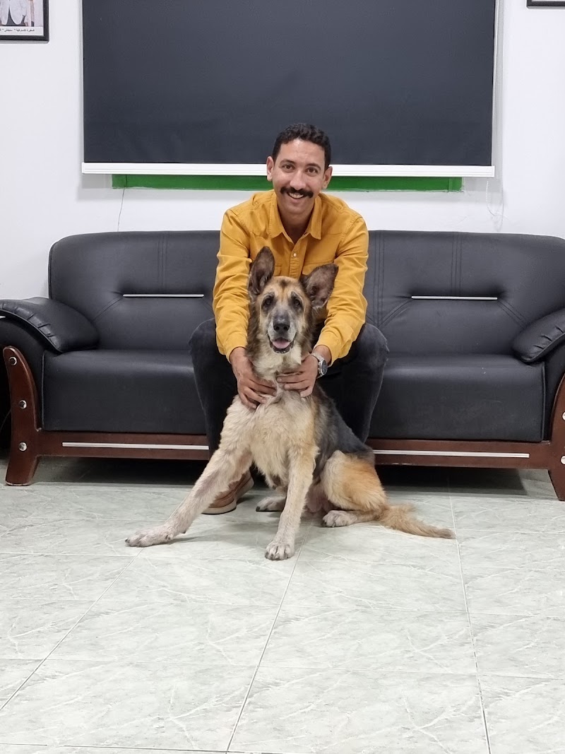 المركز الامريكى لطب وجراحة الحيوان