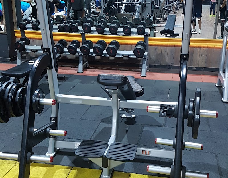 Gold's Gym Alexandria club - صورة 2