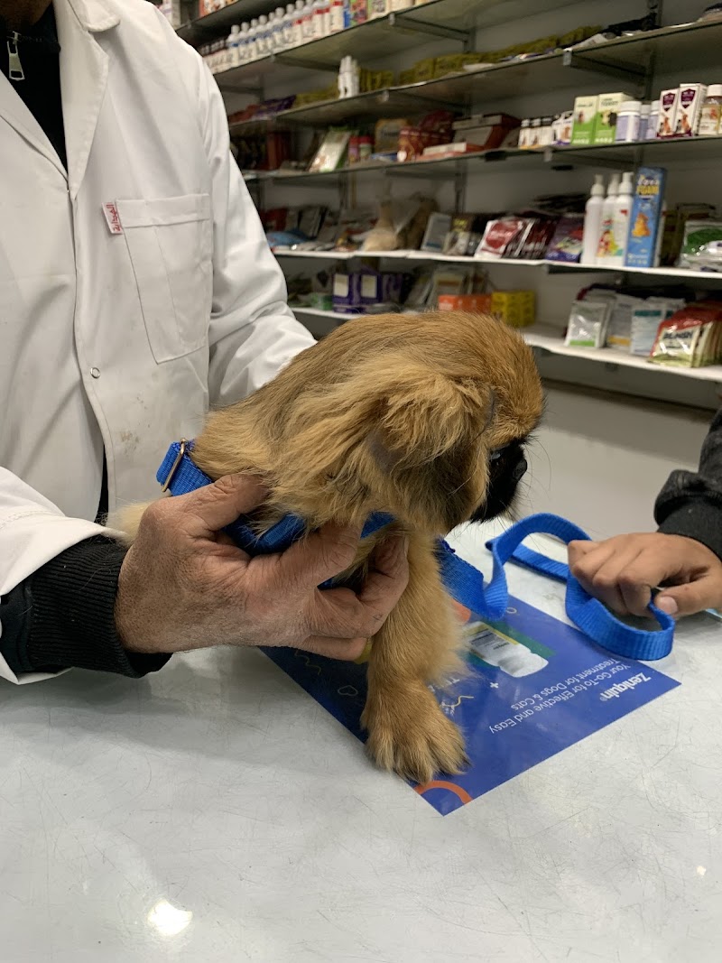 Animal Club Vet Clinic and Pet Store عيادة الخدمات البيطرية