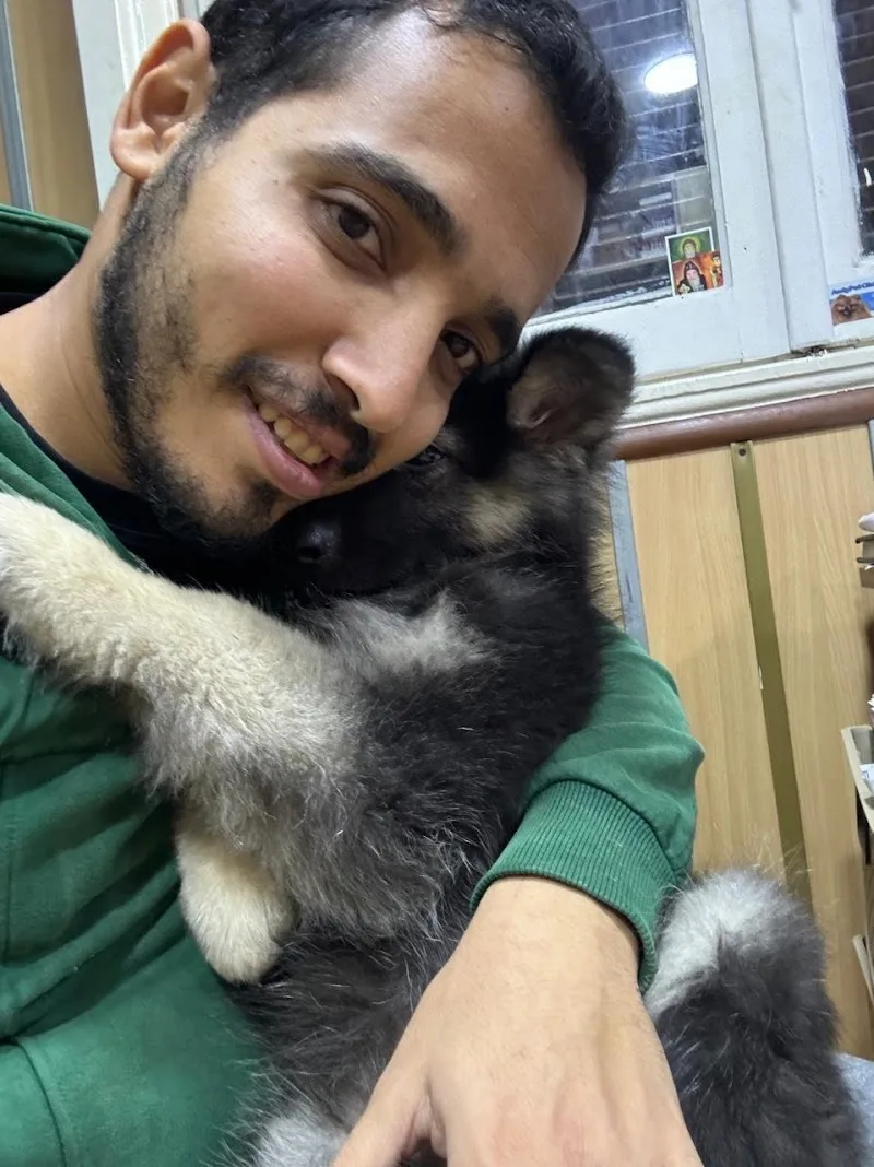 Andy pet clinic عياده بيطريه - صورة 3