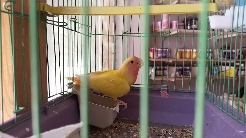 مركز الاشراف البيطري Veterinary Clinic - Photo 1