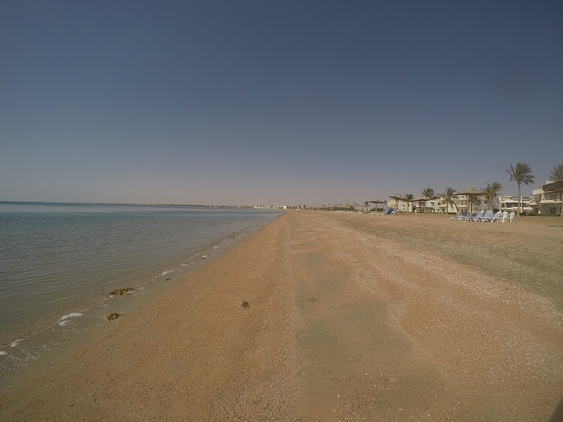 Pool Bar - Royal Beach Resort - Photo 2
