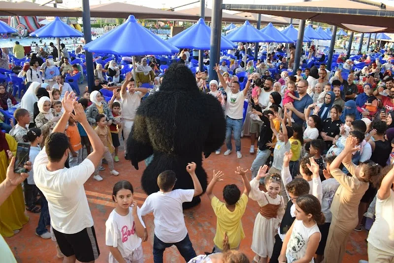 Misr Pharmacies - 5th Settlement Branch