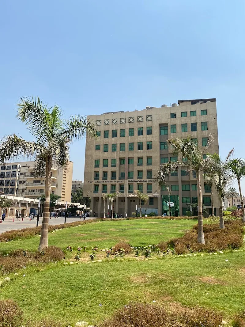 Training and Development Center, Ain Shams University Hospital - Photo 2