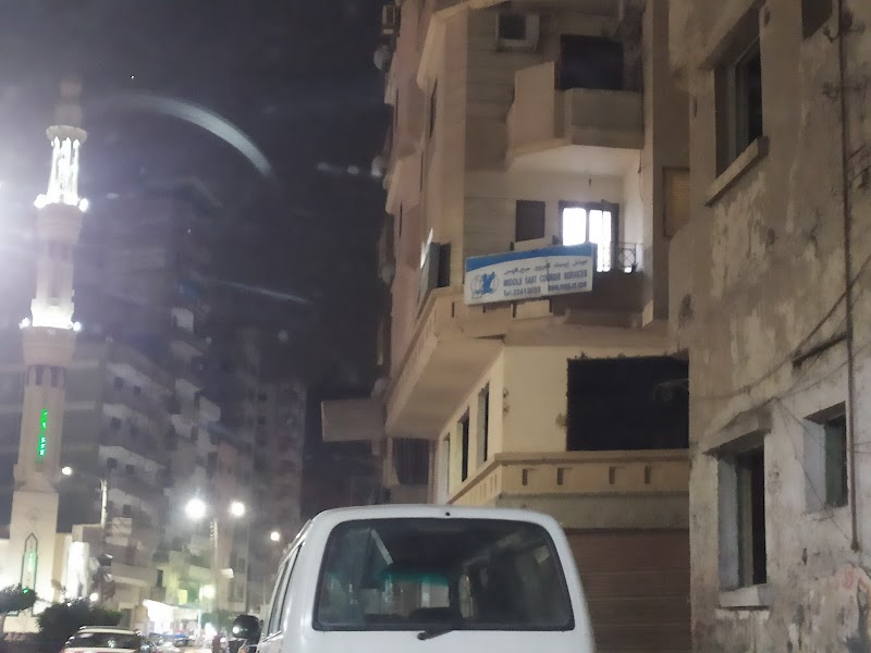 ميدل إيست كوريير سيرفيس - صورة 1