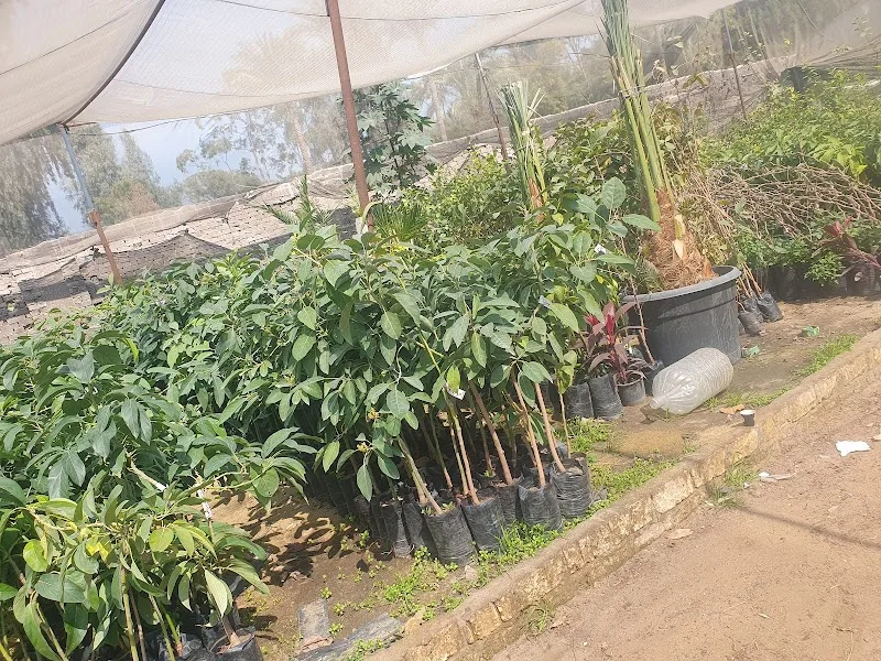 Mashatel ElDawlia Co. مشاتل الشركة الدولية - Photo 2