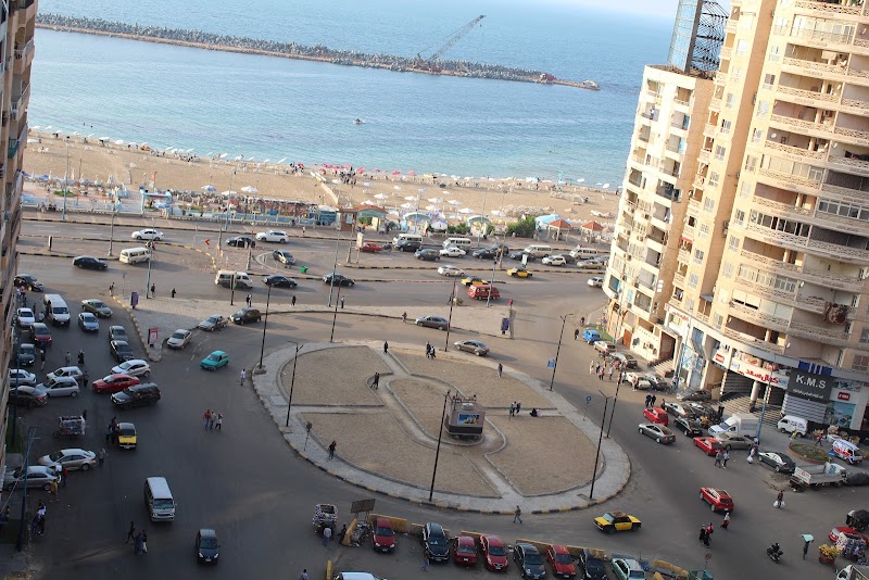 شركة غرناطة العقارية - صورة 1