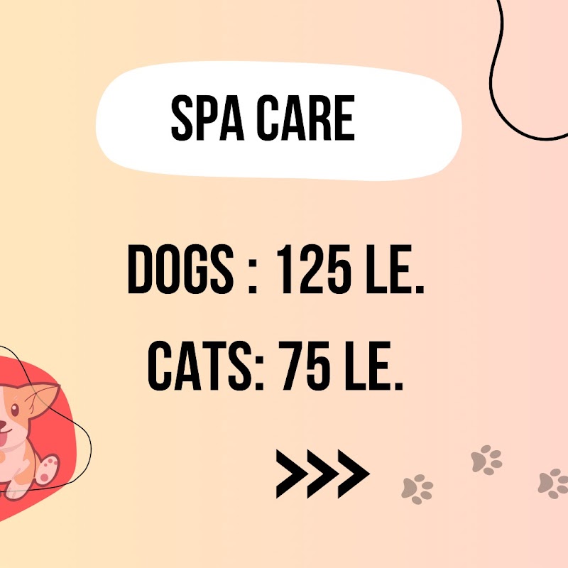 Animal House hospital مستشفى بيطرية - Photo 3