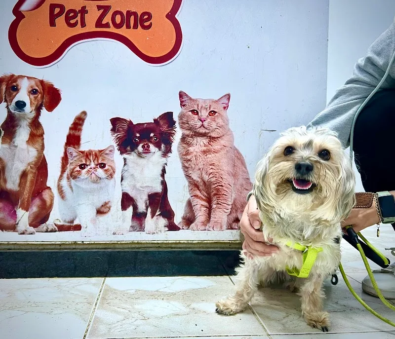 Pet Zone Veterinary Clinic Heliopolis - صورة 2