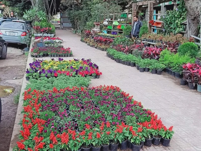 Flower Nursery - AlHuda - Photo 2