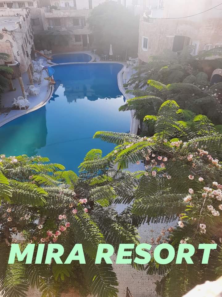 شاليهات إيجار و حمام سباحة و سينما و مطعم و كافيه - صورة 2