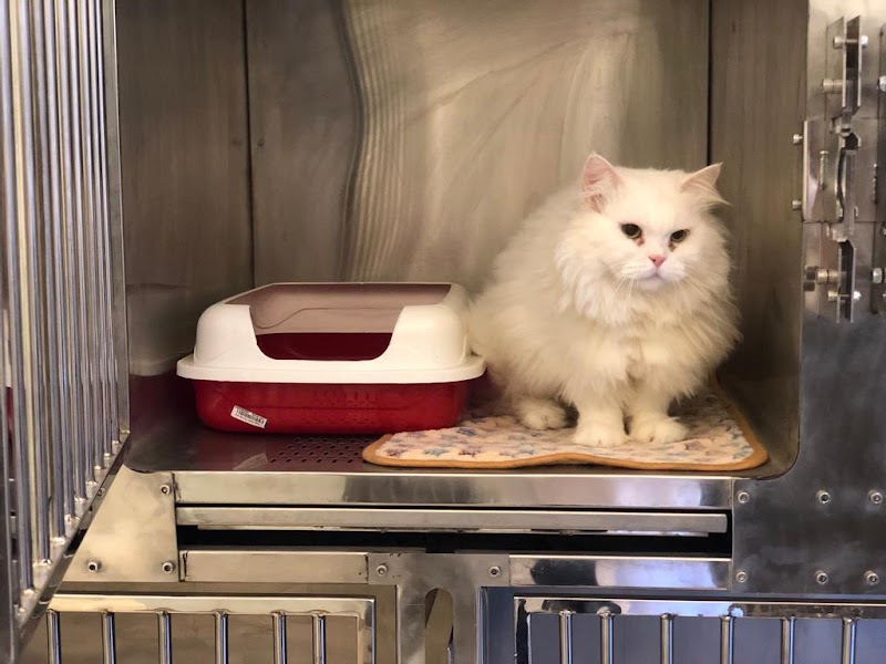 Animal Planet Clinic - صورة 1