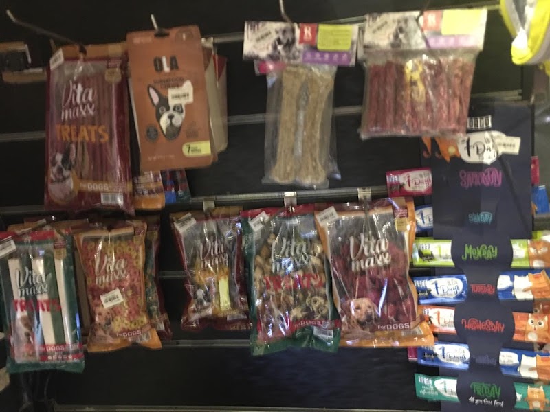 Animal House - صورة 1