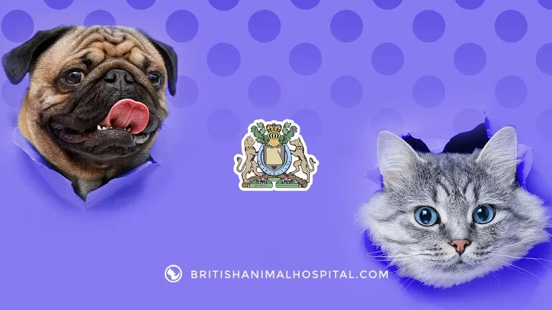 British Animal Hospital - Garden City