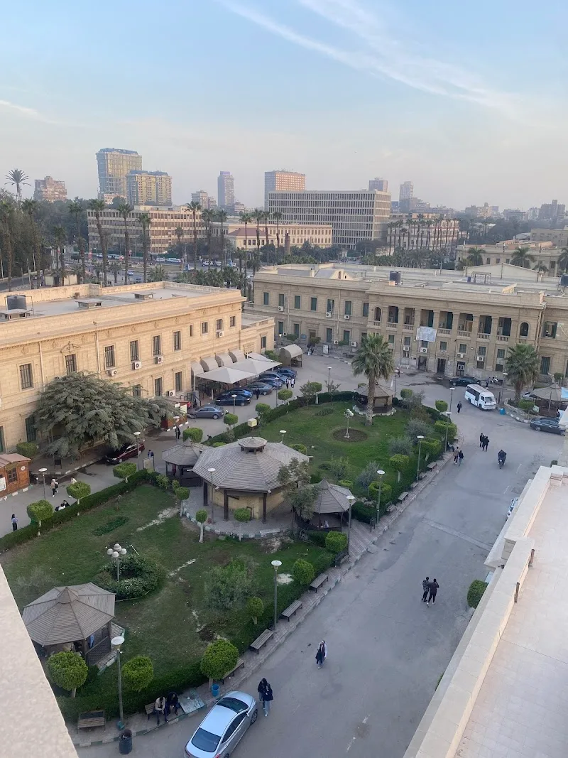 Cairo University Center for Foreign Languages and Translation Specialist