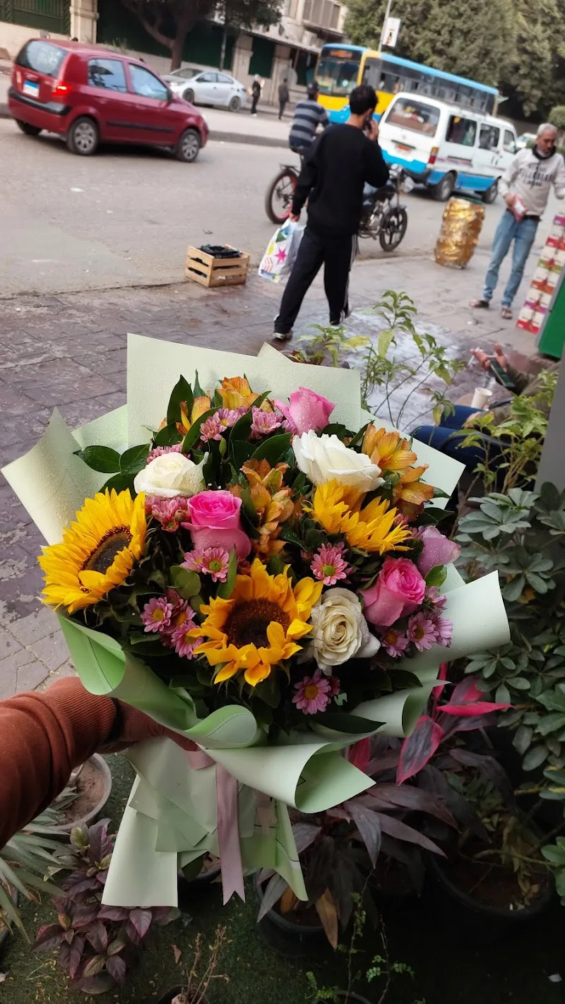 - Amon flowers زهور امون - Photo 1