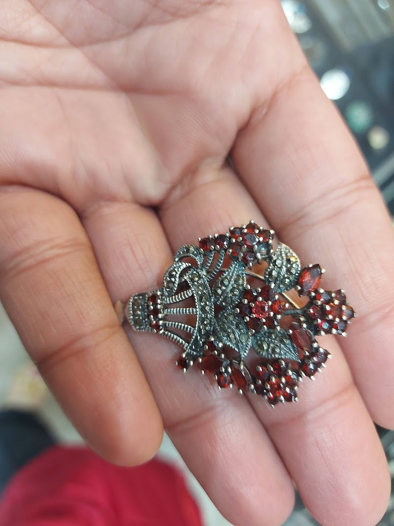 فضيات مصطفى فاروق - صورة 1