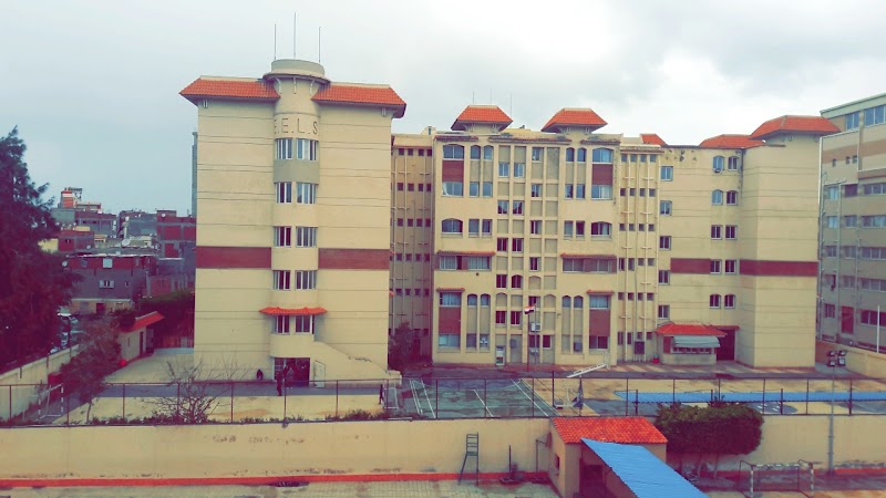 The Egyptian English Language School (EELS) - Photo 3