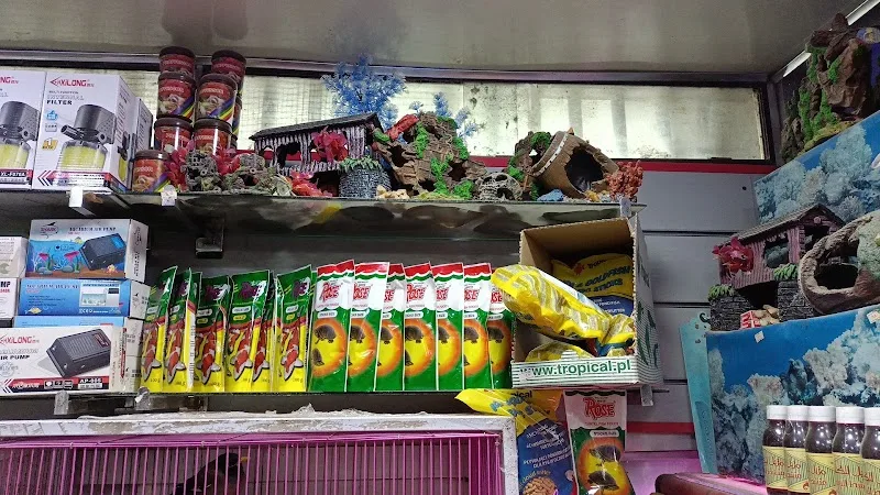 الأمير لمستلزمات الطيور الذينه والحيوانات الاليفه - صورة 3