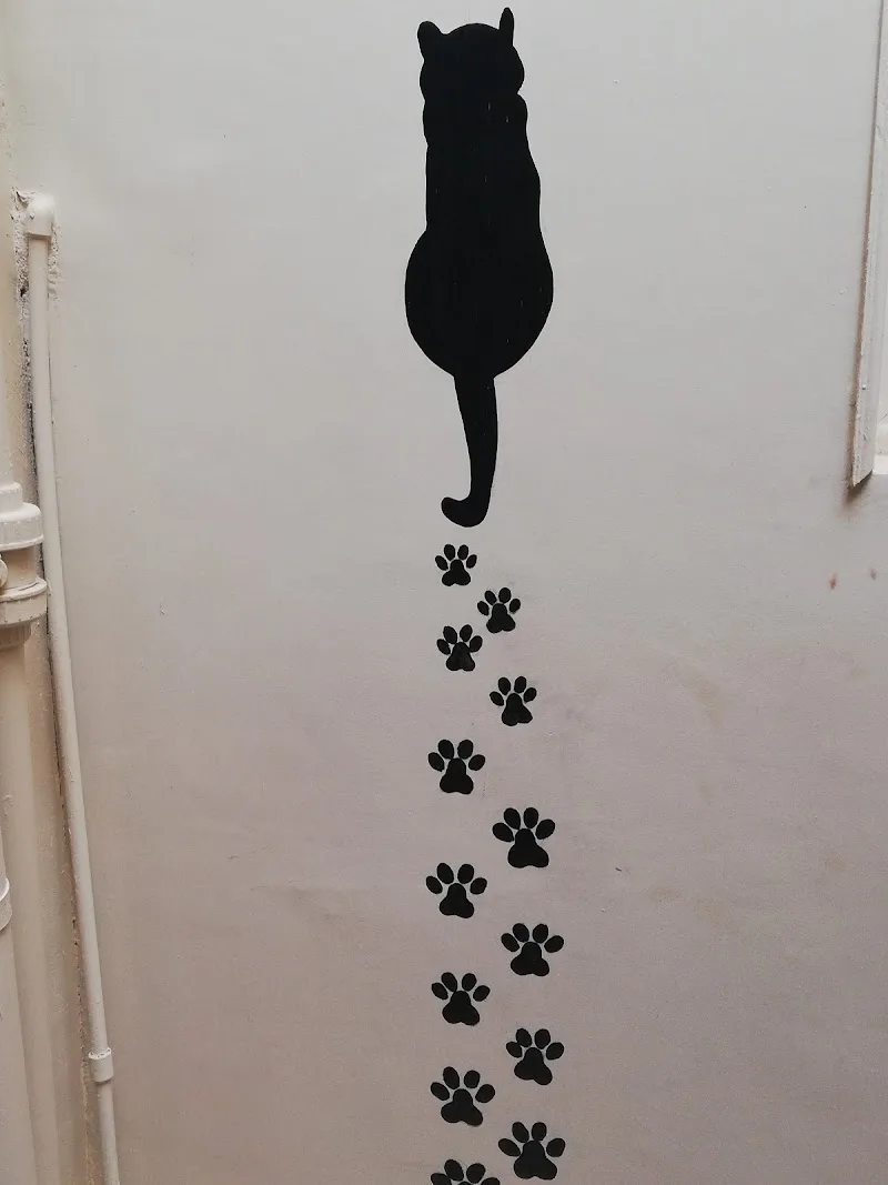 Dr Paws animal Hospital - صورة 1