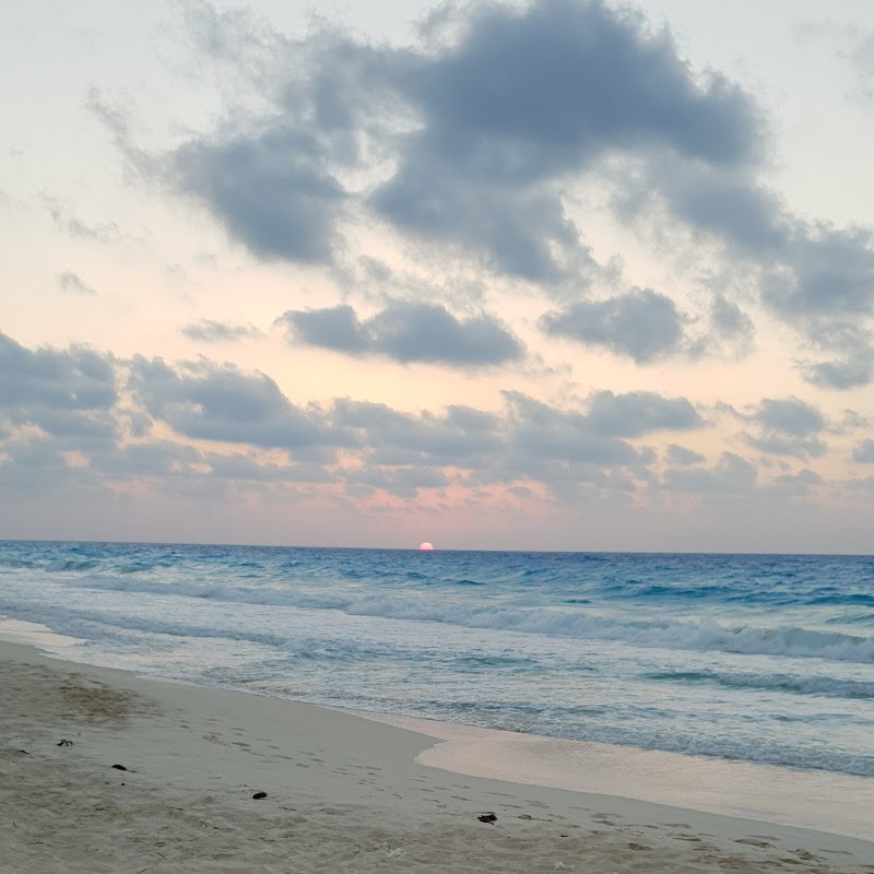 Marseilia Resort - Photo 2