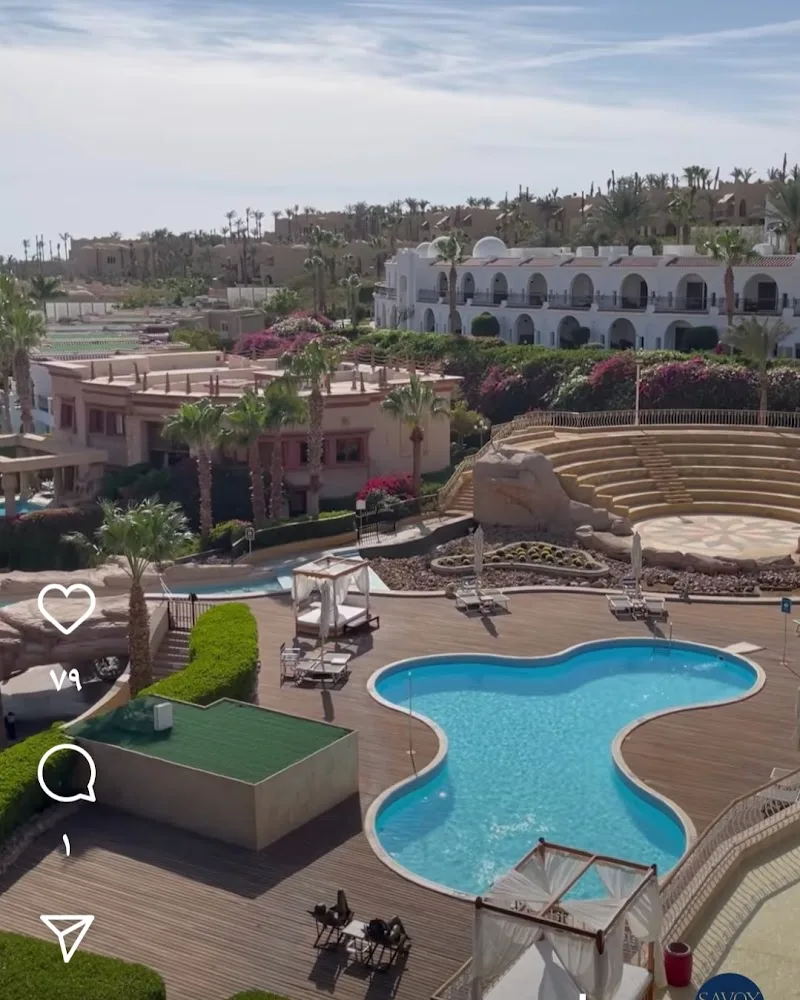 Pets Care Clinic - Photo 2