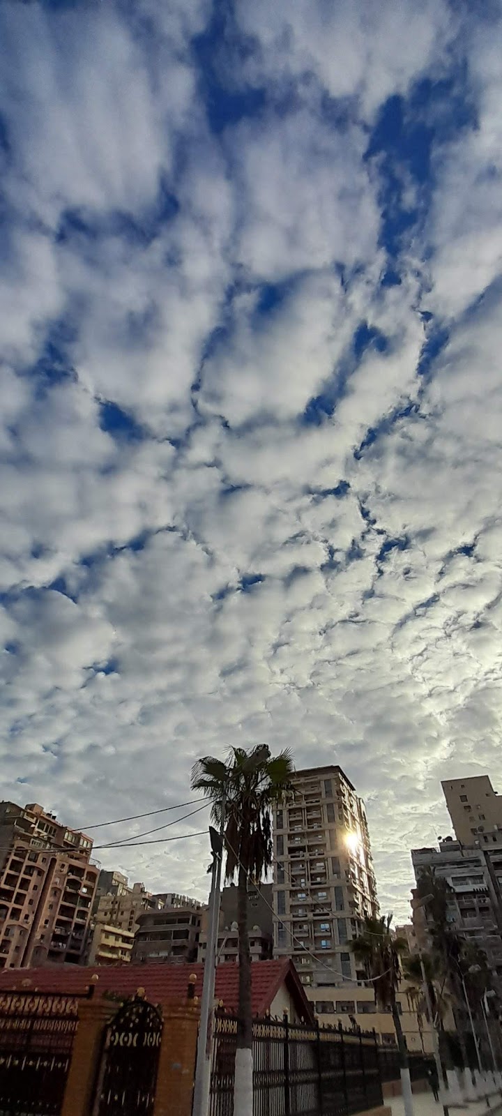 سوبر ماركت لوران - صورة 1