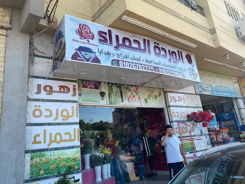 مستشفى طلخا المركزي - صورة 3