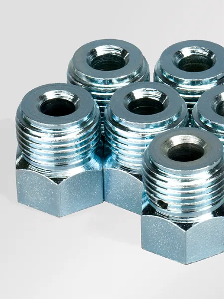 جيكو - صورة 3