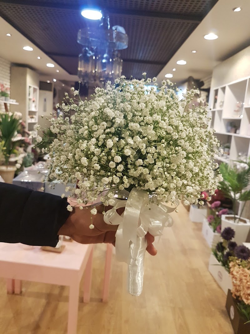لافندر - صورة 2