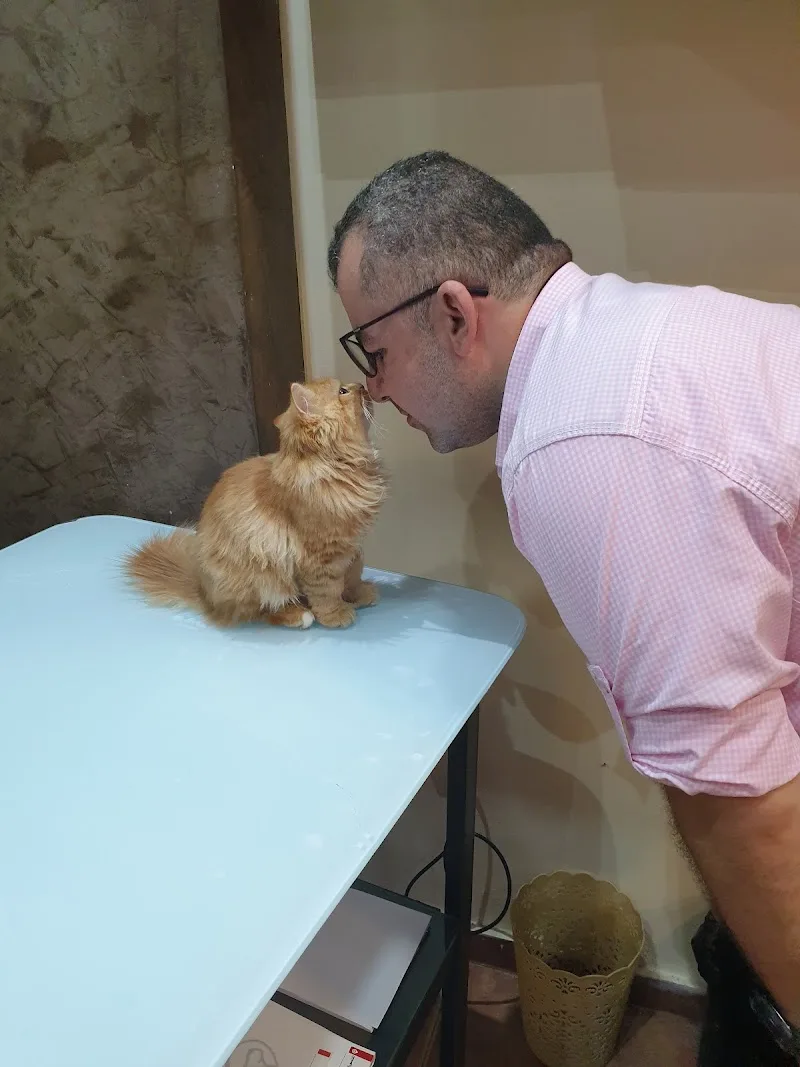 Peticare Animal Hospital عيادة بيتي كير البيطرية - Photo 1