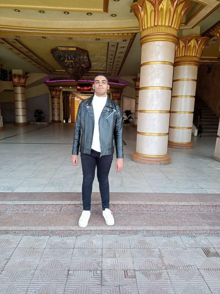 شركة الاسكندرية العقارية للبناء الحديث - صورة 2