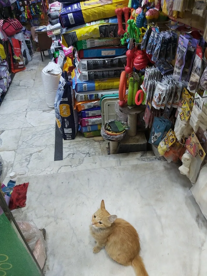 Pets Kingdom - Photo 3