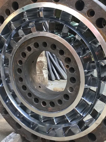 جيكو - صورة 2