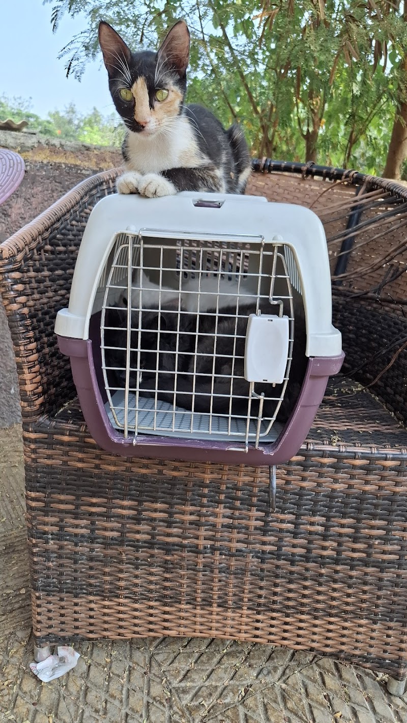 People's Hospital for Sick animals (PHSA) - Photo 1