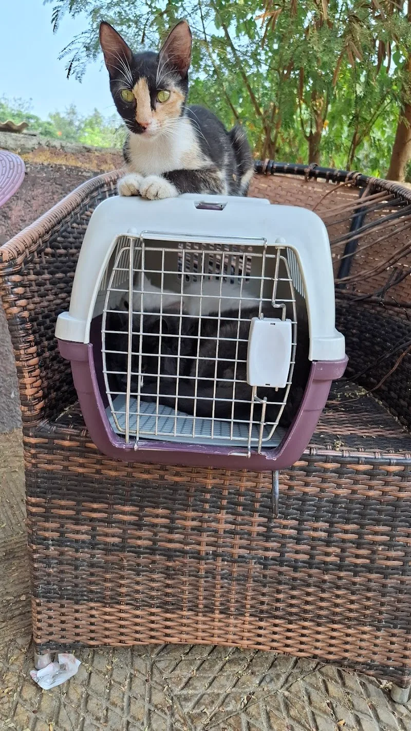 مستشفى الشعب لمعالجة الحيوانات - صورة 1