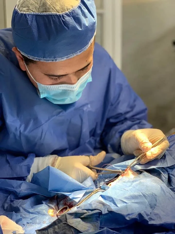 عيادة شبرا البيطرية