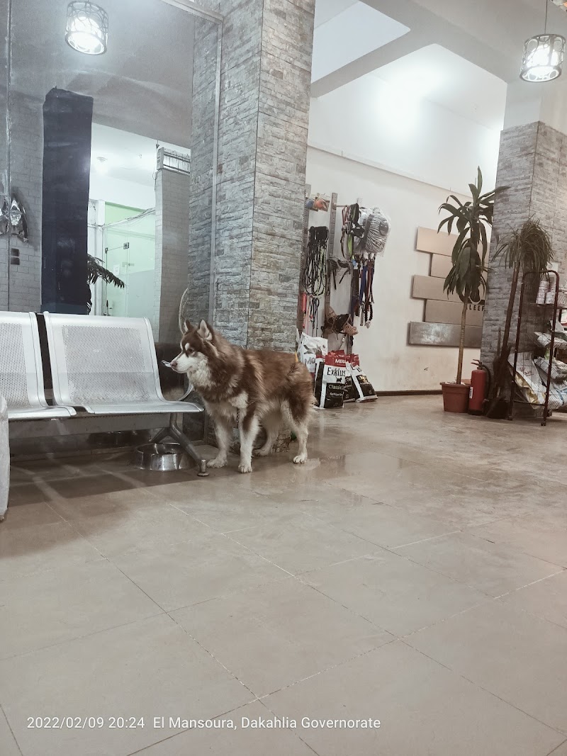 Aleef Animal Clinic - عيادة أليف البيطرية