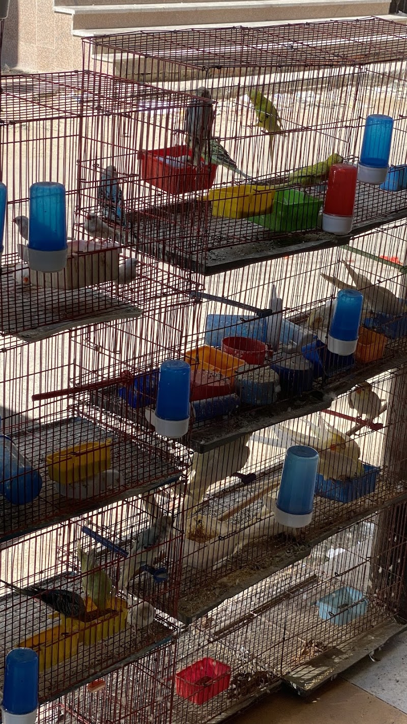 Barkadelo for pets - صورة 2