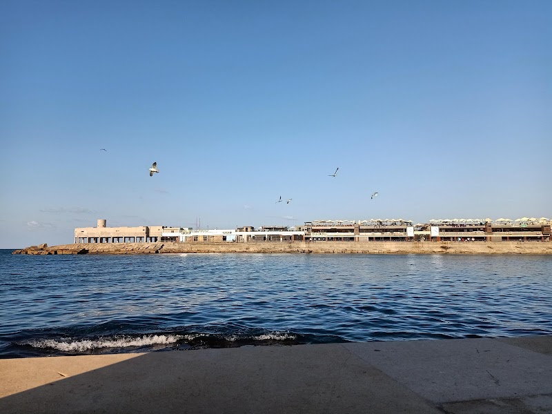 Latino Cafe & Resturant - Photo 3