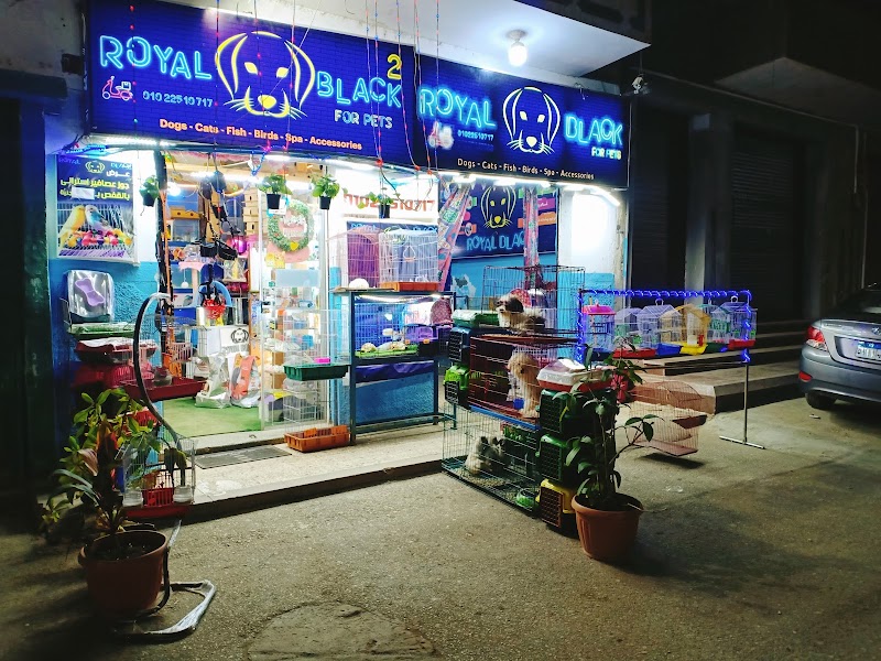 معرض ROYAL BLACK للحيوانات الأليفة وطيور الزينة وأسماك الزينة