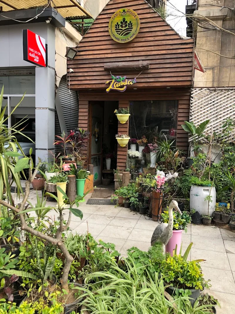 كوخ زاميا - صورة 1