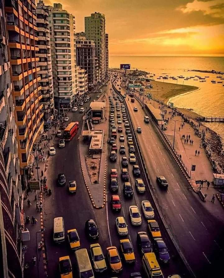 كامب شيزار - صورة 3