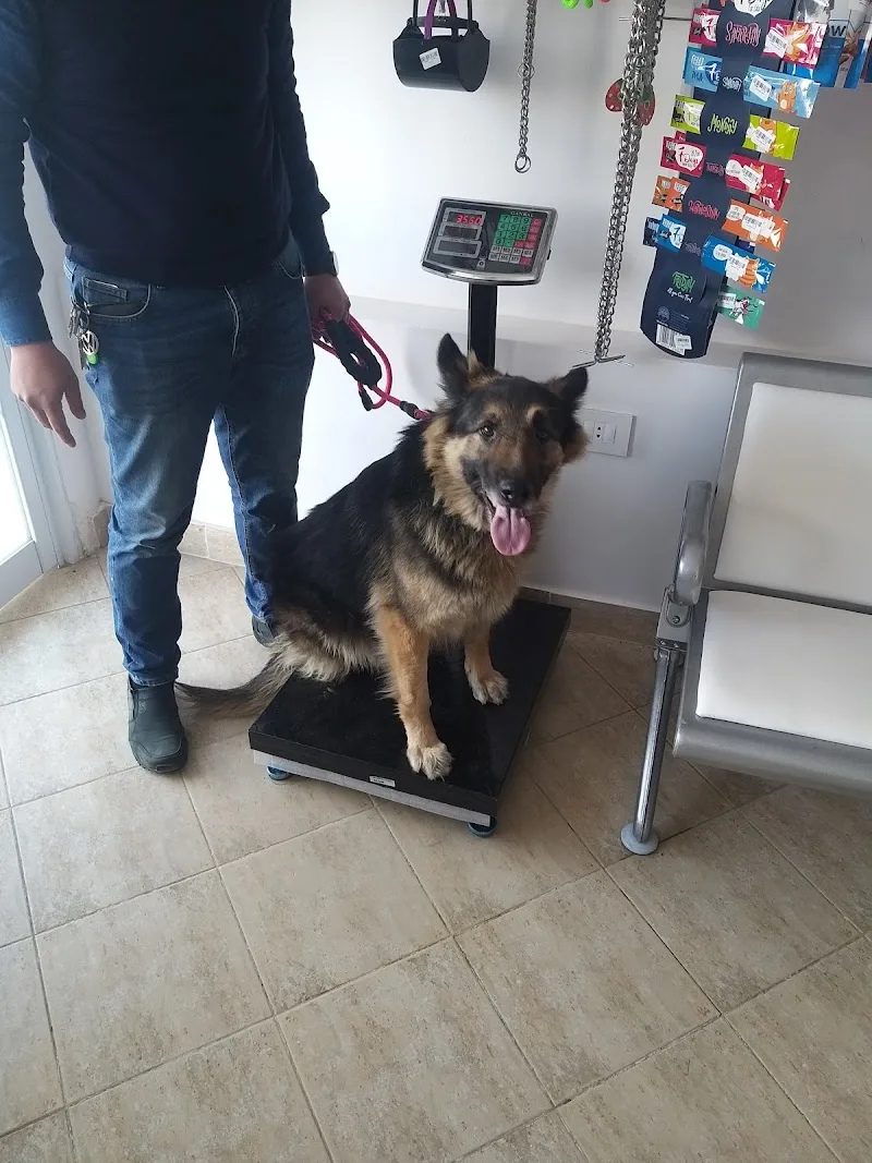 Lucky Pet Vet Clinic - Pet Motel - Pet Shop - صورة 1