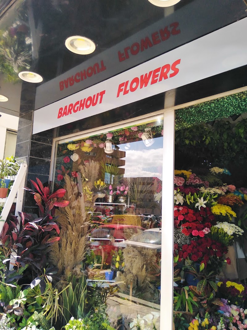 Barghout Flowers