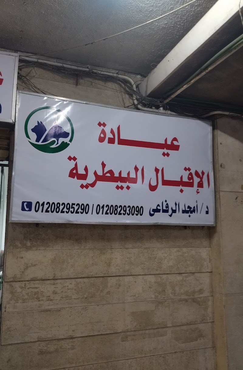 عيادة الاقبال البيطرية - Photo 3