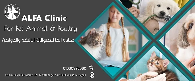 Alfa Veterinary Clinic - Photo 2