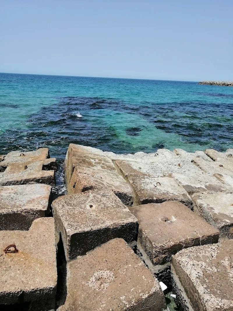 سوبر ماركت لوران - Photo 3