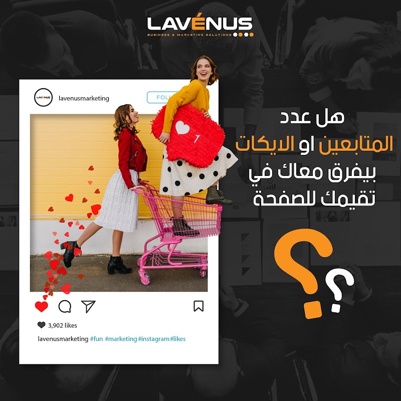 شركة لافينوس للتسويق الالكتروني - صورة 3